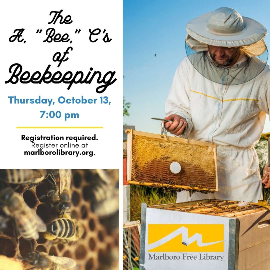 The A, “Bee,” C’s of Beekeeping Meet Me In Marlborough New York in